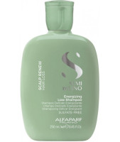 Alfaparf Scalp Шампунь для зміцнення волосся 250 мл
