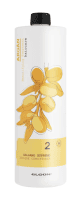 Elgon Argan Supreme Conditioner - Кондиціонер з арганової олії для сухого волосся 1000 мл