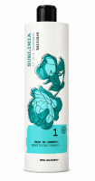 Elgon Sublimia Hair DD Shampoo - Шампунь 10 в 1 для всіх типів волосся 1000 мл