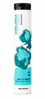 Elgon Sublimia Hair DD Shampoo - Шампунь 10 в 1 для всіх типів волосся 250 мл