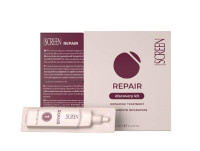 Screen Repair Reconstruction Discovery Kit Набір для реконструкції волосся 00662