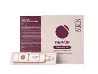 Screen Repair Reconstruction Discovery Kit Набір для реконструкції волосся 00662