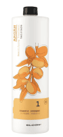 Elgon Argan Supreme Shampoo - Шампунь з арганової олії для сухого волосся 1000 мл