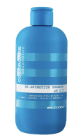 Elgon Colorcare Re-Animation Shampoo - Відновлювальний шампунь для пошкодженого волосся 300 мл