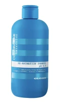 Elgon Colorcare Re-Animation Shampoo - Відновлювальний шампунь для пошкодженого волосся 300 мл