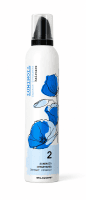 Elgon Luminoil Instant Synergy 2 - Мус-кондиціонер для експрес-догляду за волоссям 300 мл