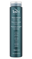 ING Treated Hair Shampoo - Шампунь для поврежденных волос 250 мл