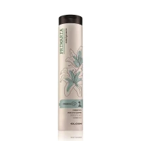 Elgon Primaria Purifying Shampoo - Шампунь проти лупи з цинком 250 мл