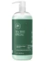 Paul Mitchell Green Tea Tree Special Shampoo - Шампунь на основі екстракту чайного дерева 1000 мл